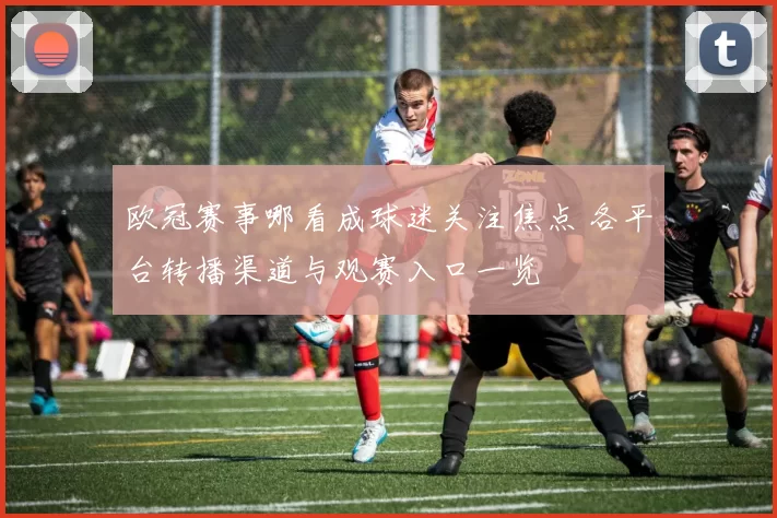 欧冠赛事哪看成球迷关注焦点 各平台转播渠道与观赛入口一览